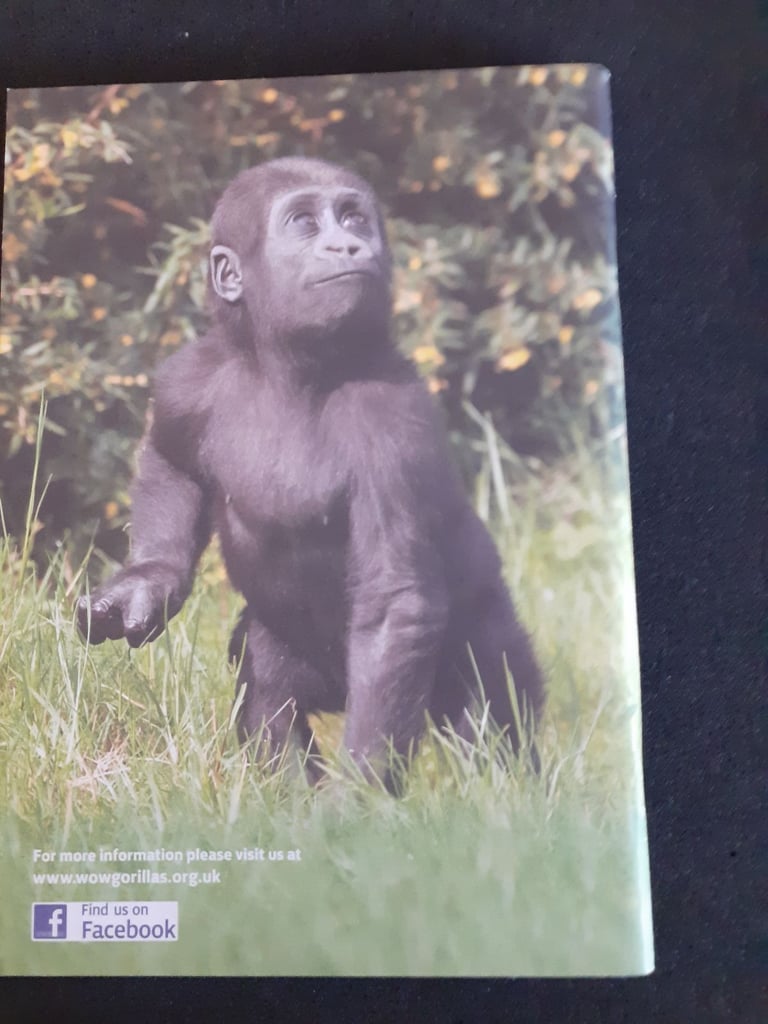 Wow Gorillas souvenir guide