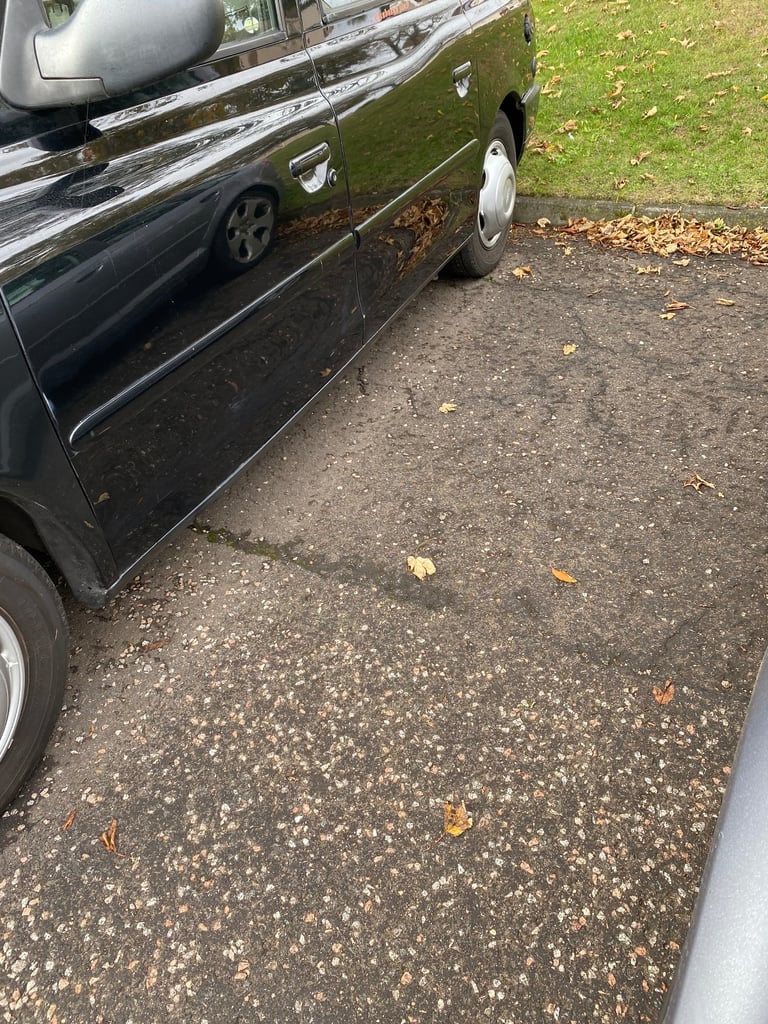 LTI, TX4, TAXI, 2010, Manual, 2L