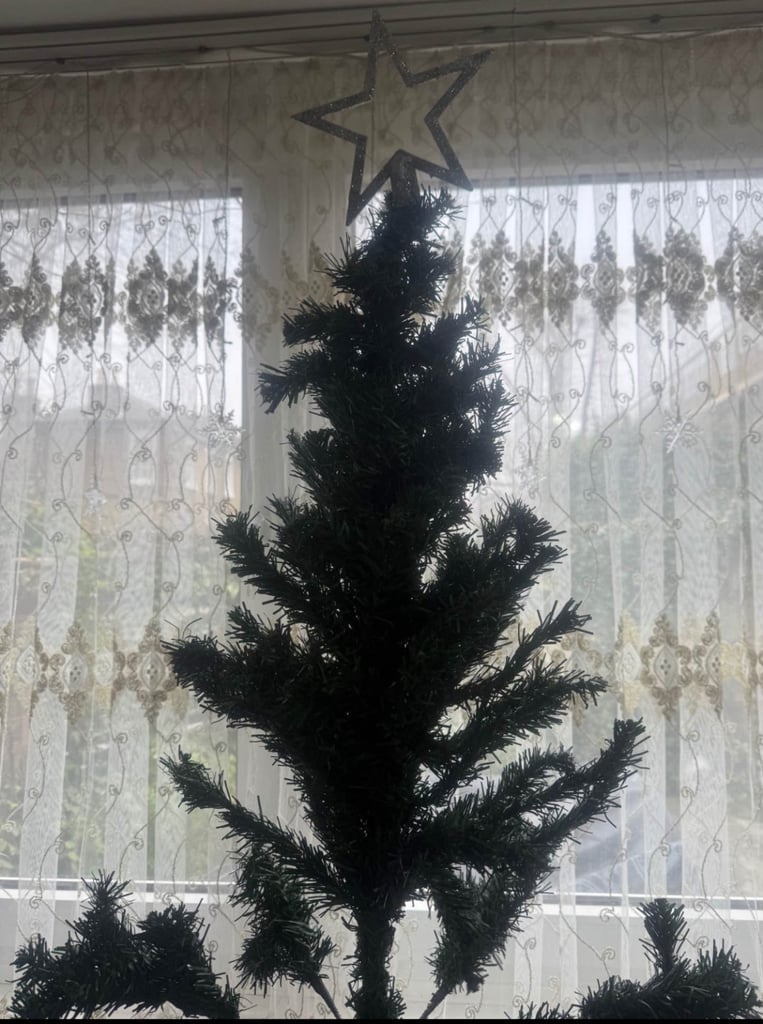 image for Christmas tree 🌲  With decoration 