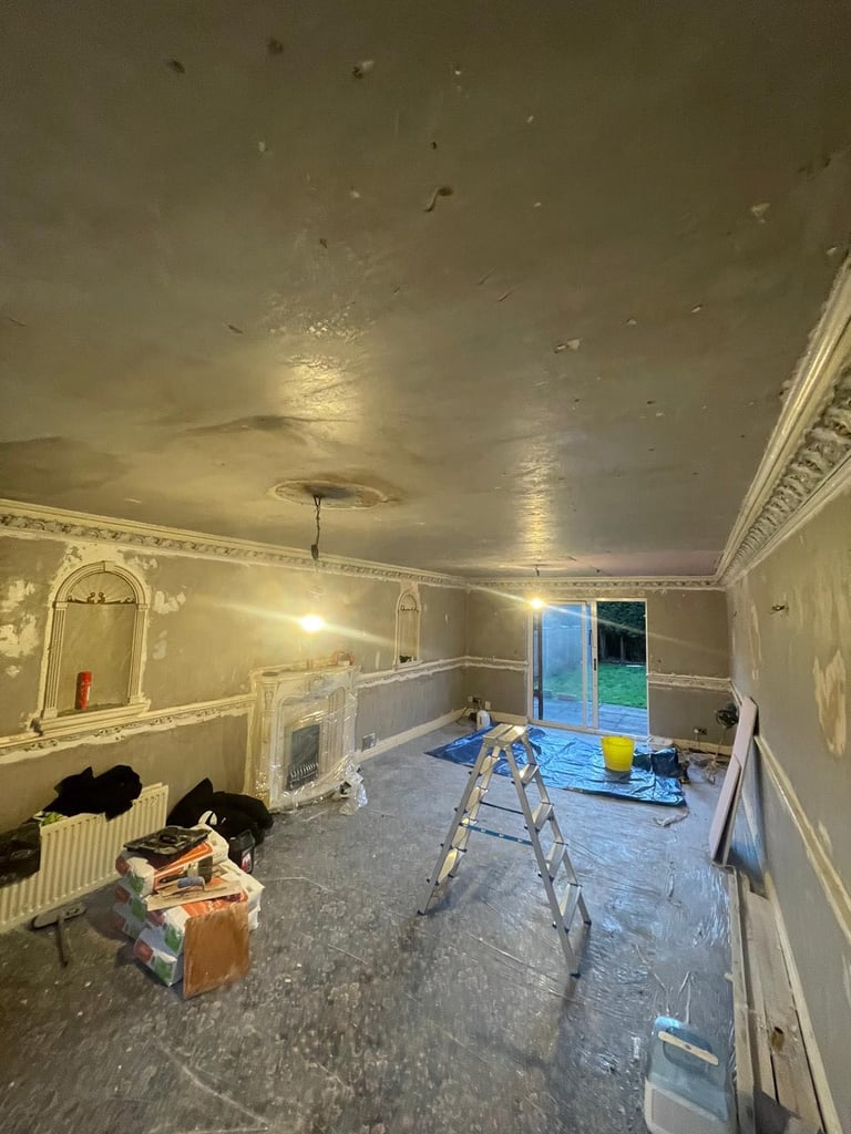 PROFESSIONAL PLASTERING