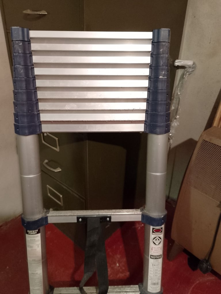 image for Telescoping ladder