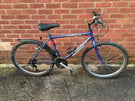 Mens 18” Raleigh mtb bike bicycle. Delivery &amp; D lock available
