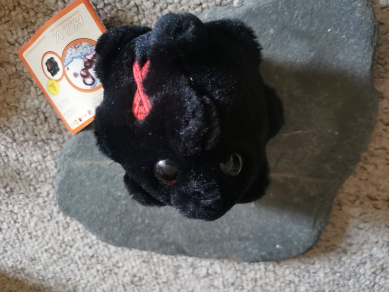 ​🦠 GIANT Microbes Plush Toy Collection - Science, Gags & Collectibles! (Bundle Price!)