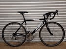 DOLAN ALPINA ROAD BIKE - RBK 2025