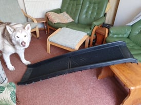 Dog Ramp for Cars Large Folding Robust Black 156 cm x 40 cm