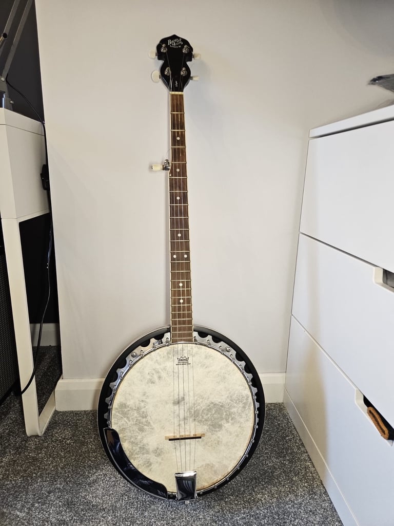 Barnes and Mullins Perfret 5 string banjo