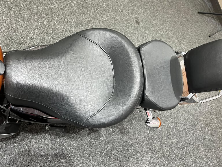 Harley-Davidson 1200 Custom Sportster Limited Edition, 2017