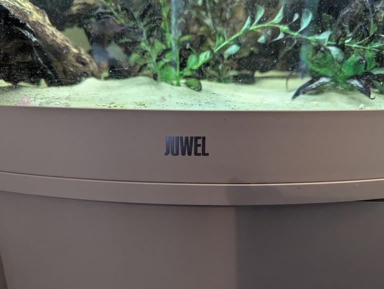 Juwel corner tank 