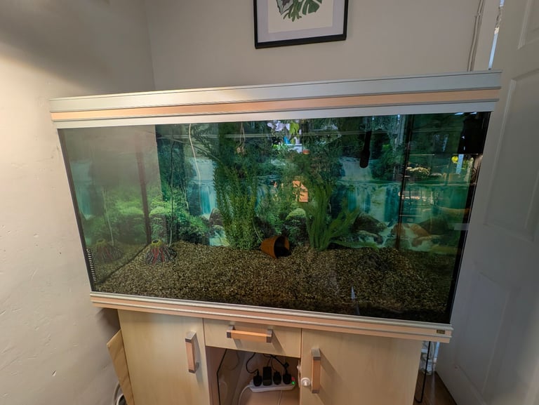 400 Litre Fish Tank