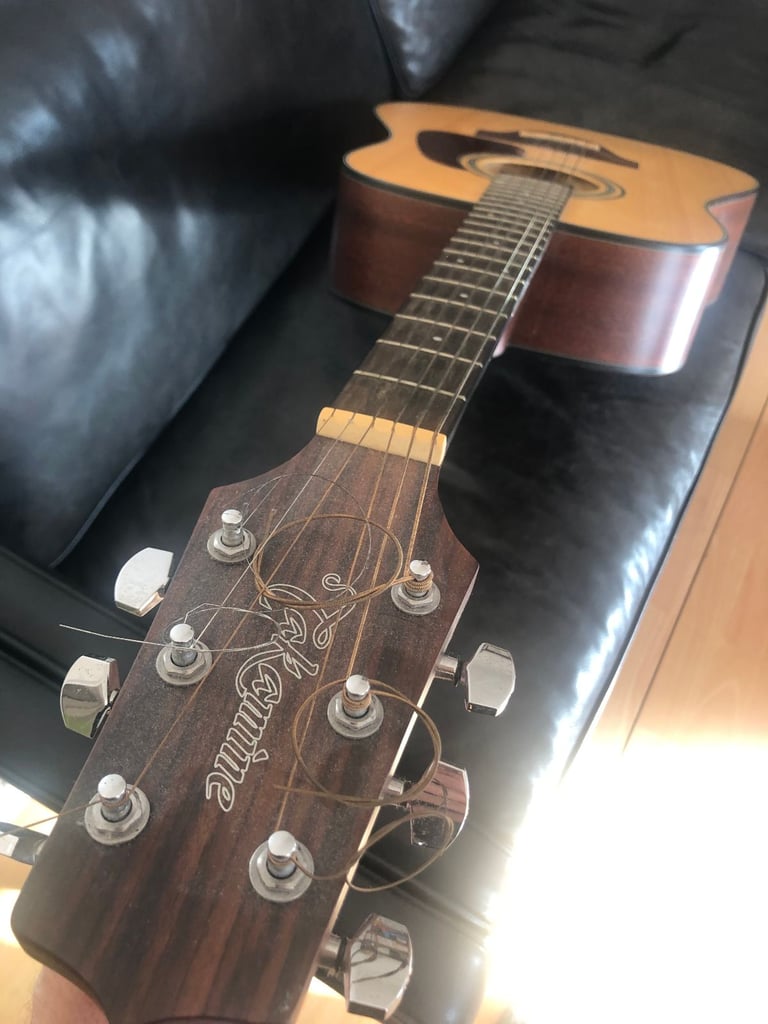 Acoustic Guitar Takamine G series (GD10 NS) + free Gig bag