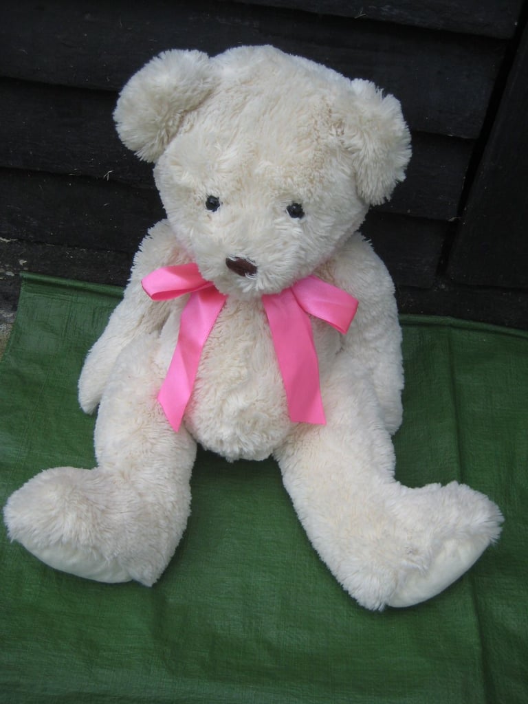 image for Large 50 cm Teddy Bear Soft Toy for £4.00