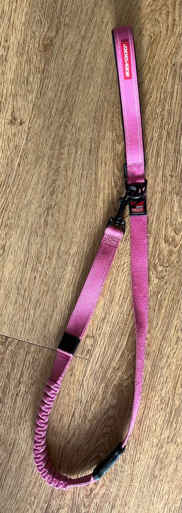 Dog lead shock-absorbing 