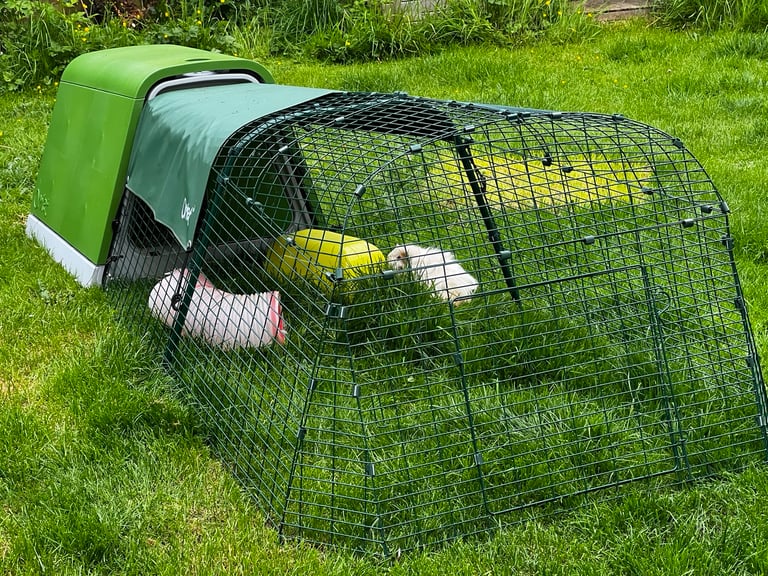 Omlet go hutch, 2m run, insulated cover and lots of accessories 