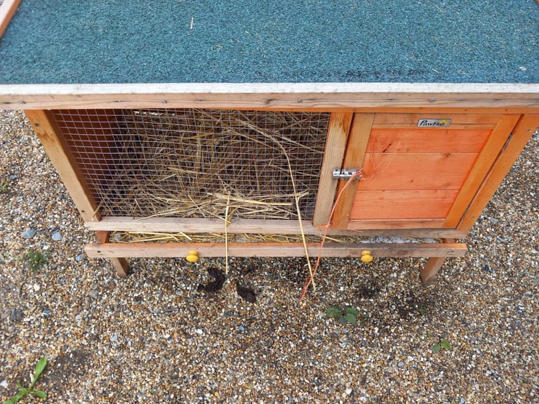 Hutch for a small pet lift up lid 