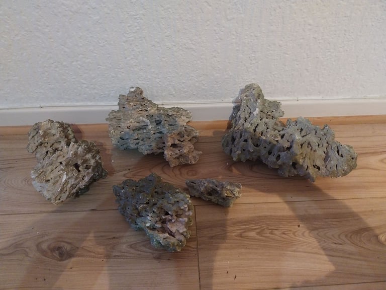 Coral rocks
