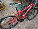 Muddy Fox mountain bike, size large 