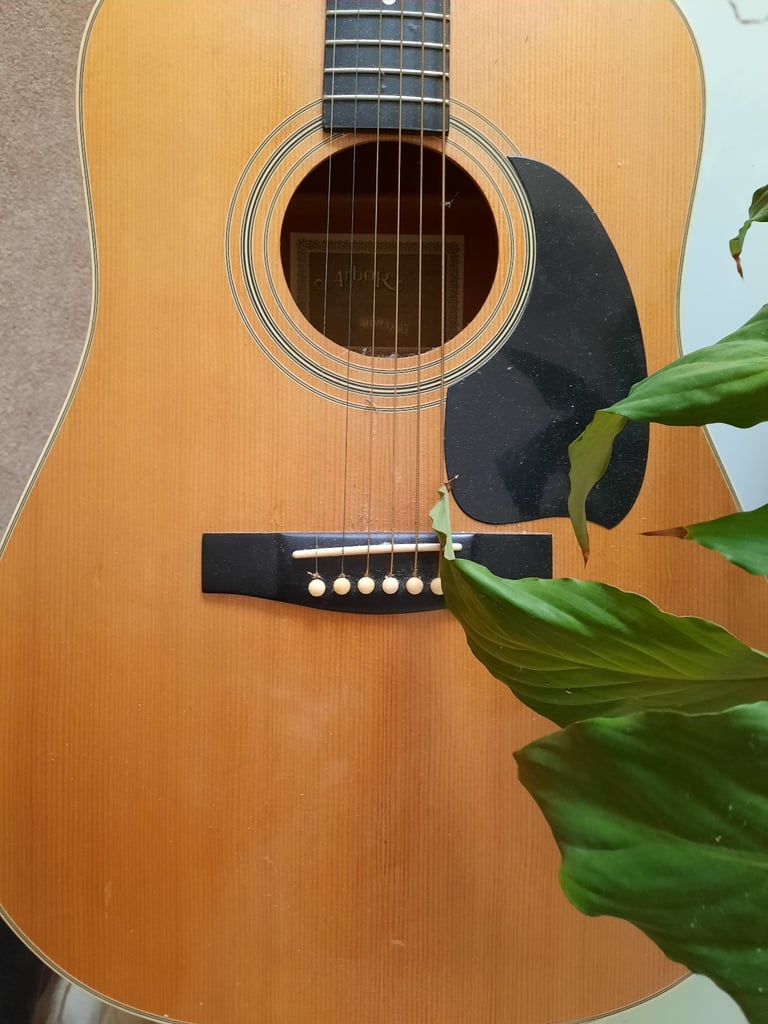 image for Large Classical guitar vintage 1980s Arbor, now Fender. The old one are the best