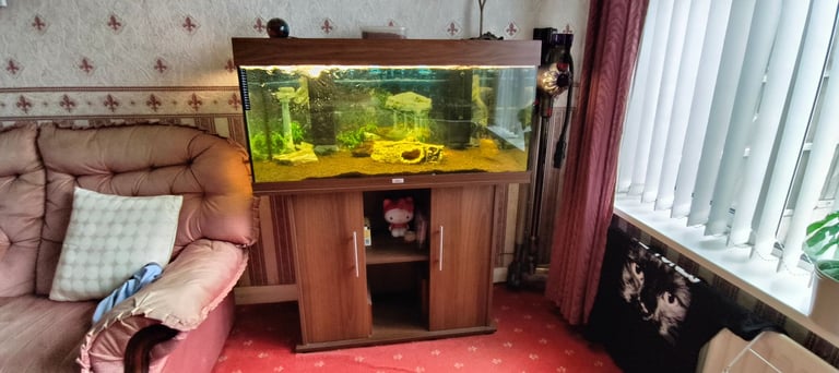 Aquarium fish tank 