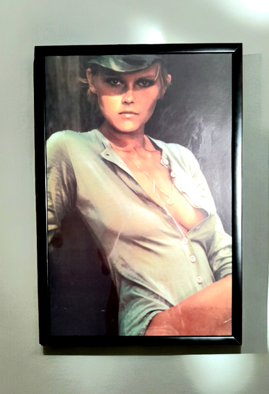 Large original 1973 picture / poster