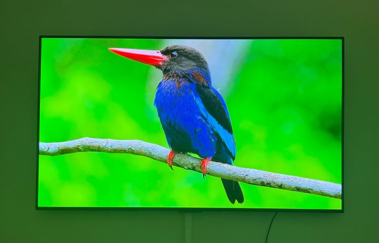 [LG] webOS TV OLED48C44LA