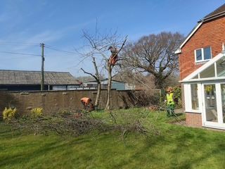 Garden Services - Toogood Gardens