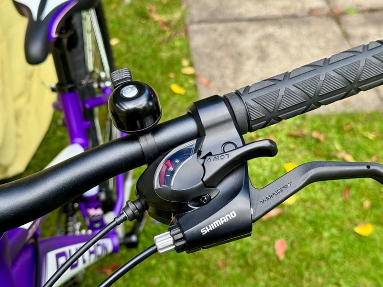 Ladies Python Rock Mountain Bike