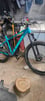 Large Trek Roscoe 7 