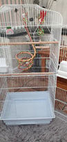 Birdcage with accessories Great Condition 
