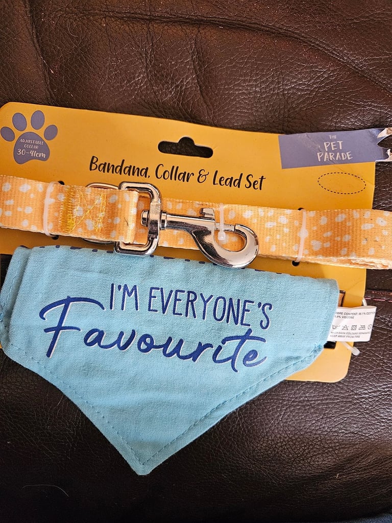 Dog lead collar bandana