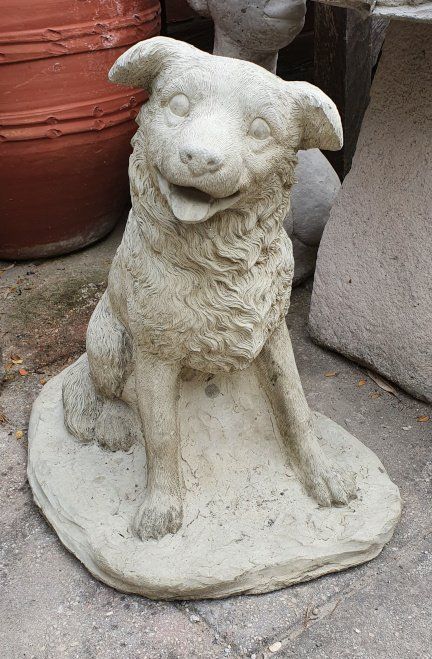 image for Concrete Collie