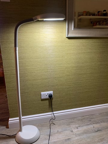 Kenley Natural Daylight SAD Floor Lamp with High Vision Energy