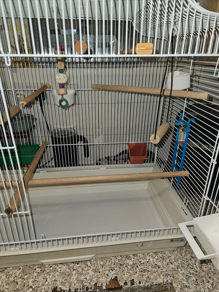 Bird cage for sale 