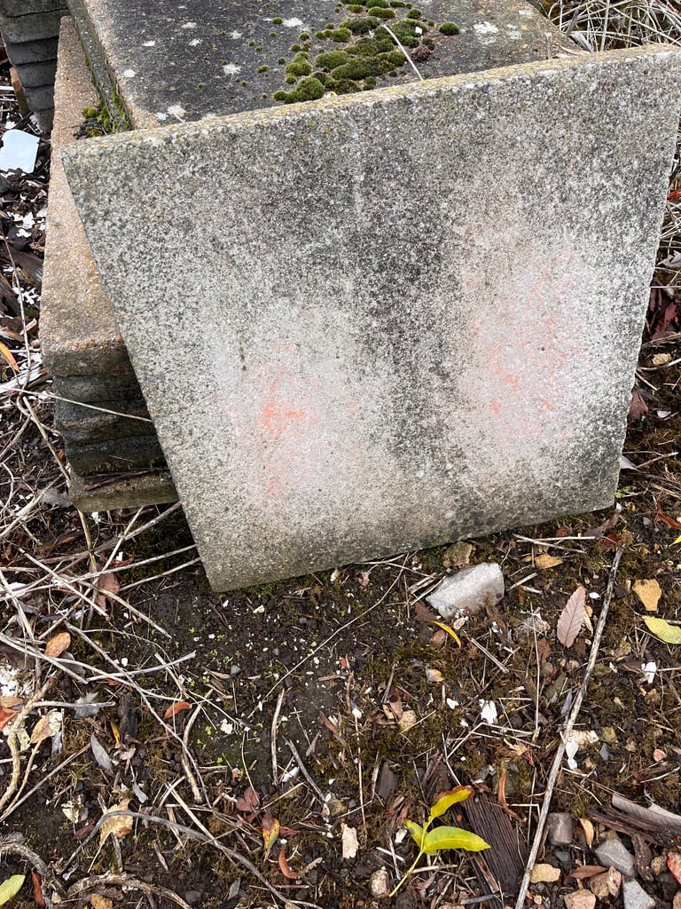 image for Council slabs 50mm