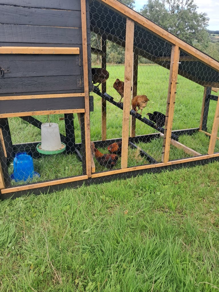 Chicken house and tun