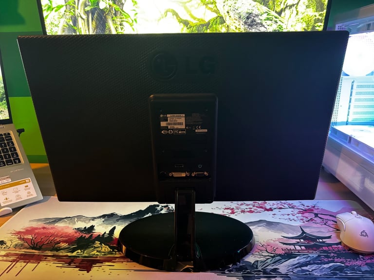 LG 24 inch monitor working