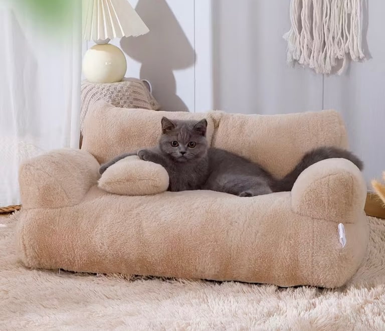 Everything you need for a cat… all brand new