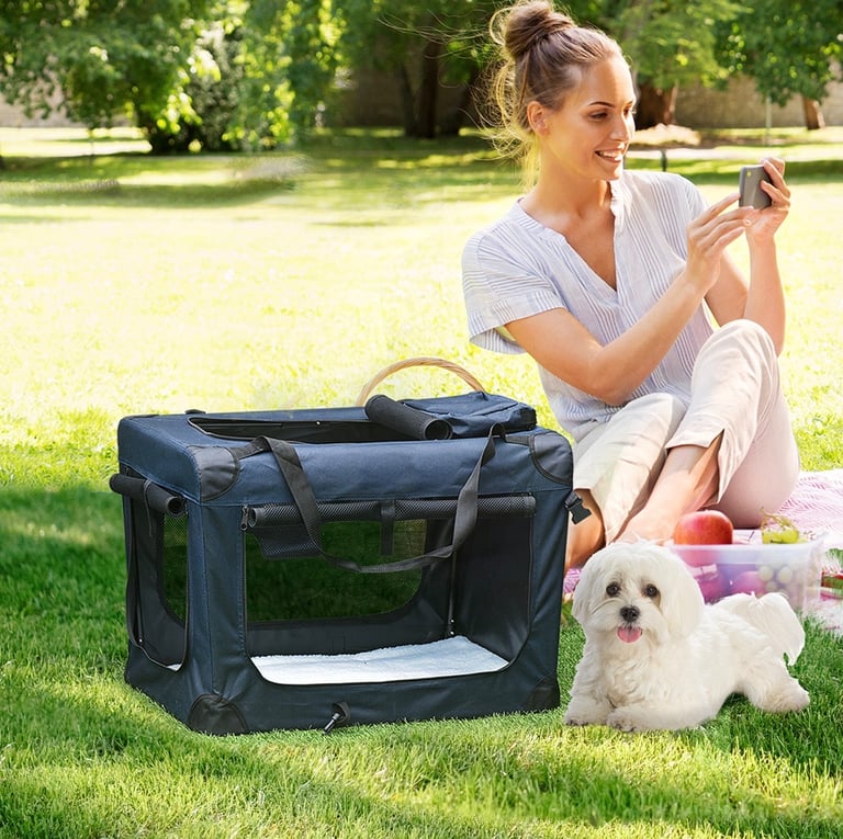 PawHut foldable pet carrier