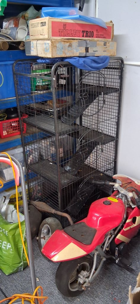 image for 5 Tier rat cage