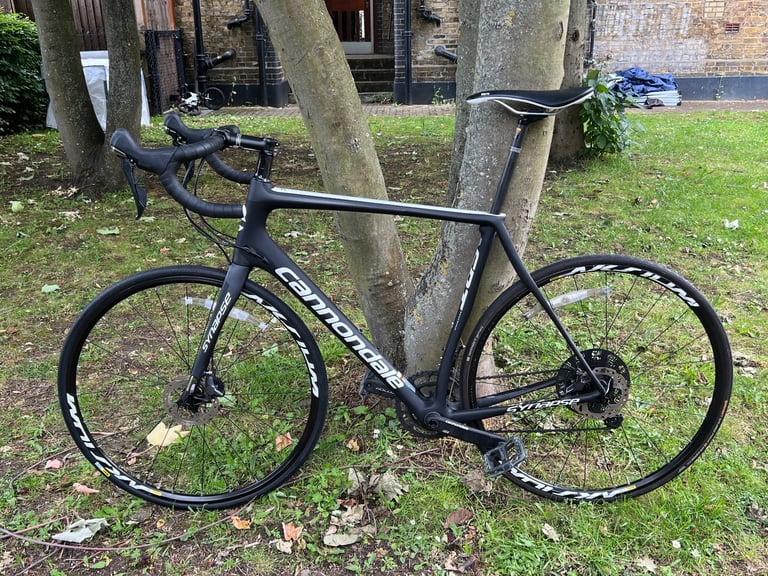 Gumtree cannondale synapse deals