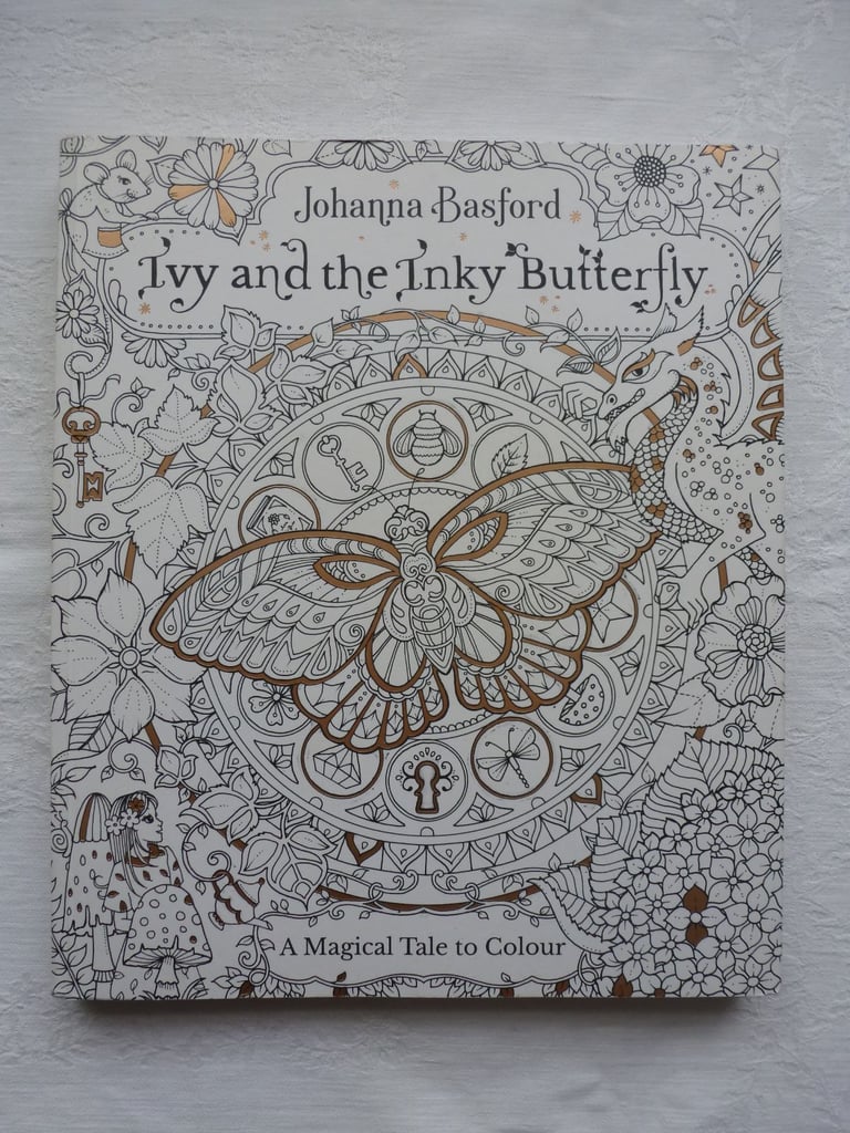 image for IVY AND THE INKY BUTTERFLY STORY AND COLOURING BOOK