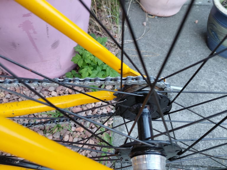 Single speed road bike 
