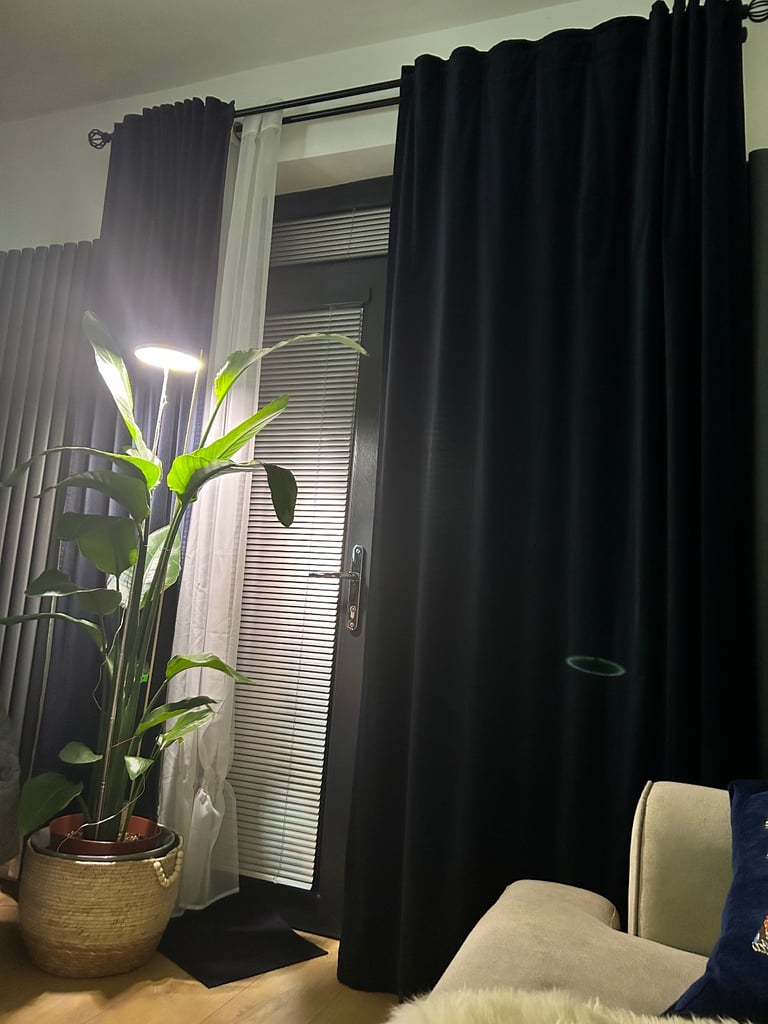 image for Pair of lined velvet curtains 