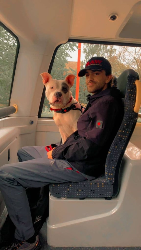 Longterm caravan needed 