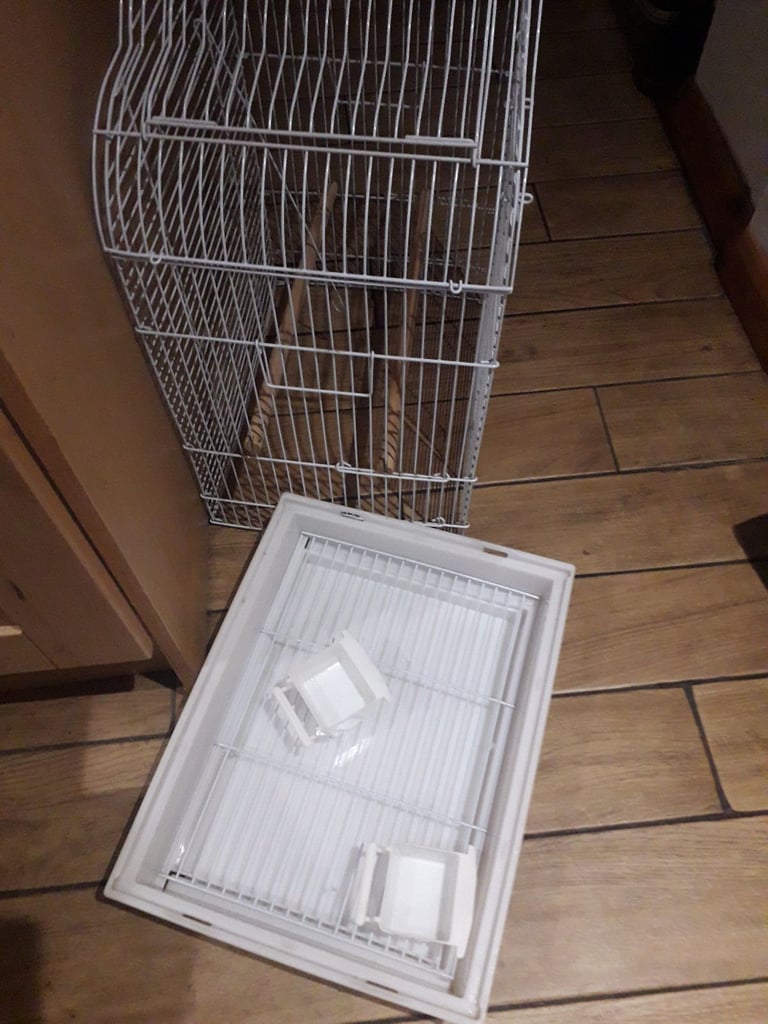 Budgie Cage