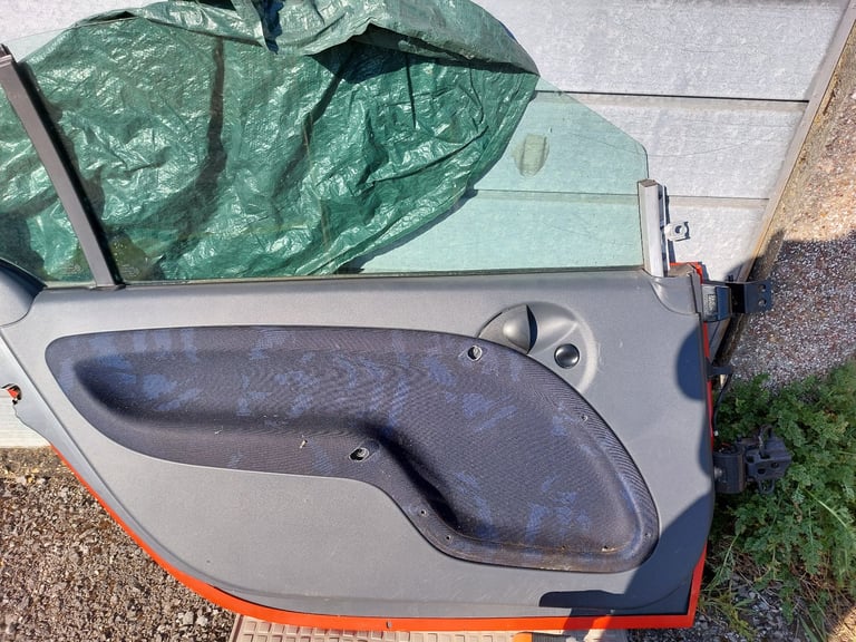 Smart 450 door