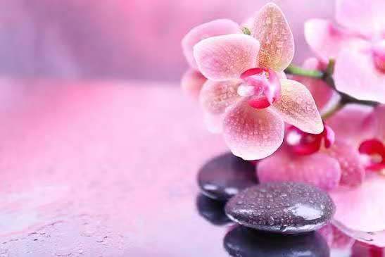 image for Oriental Massage Belfast North