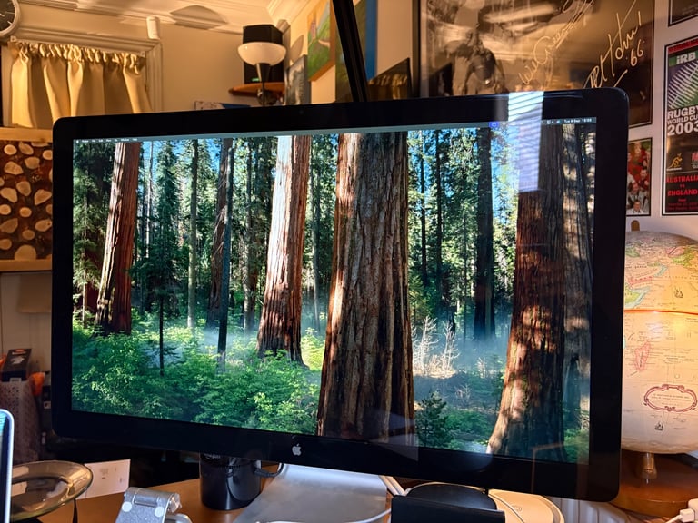 Apple 27” LED Cinema Display 