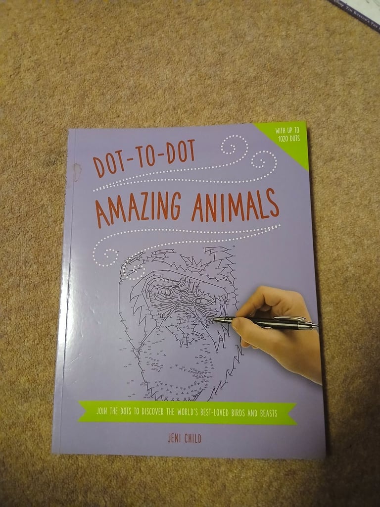 image for Adult dot to dot book. JENI CHILD