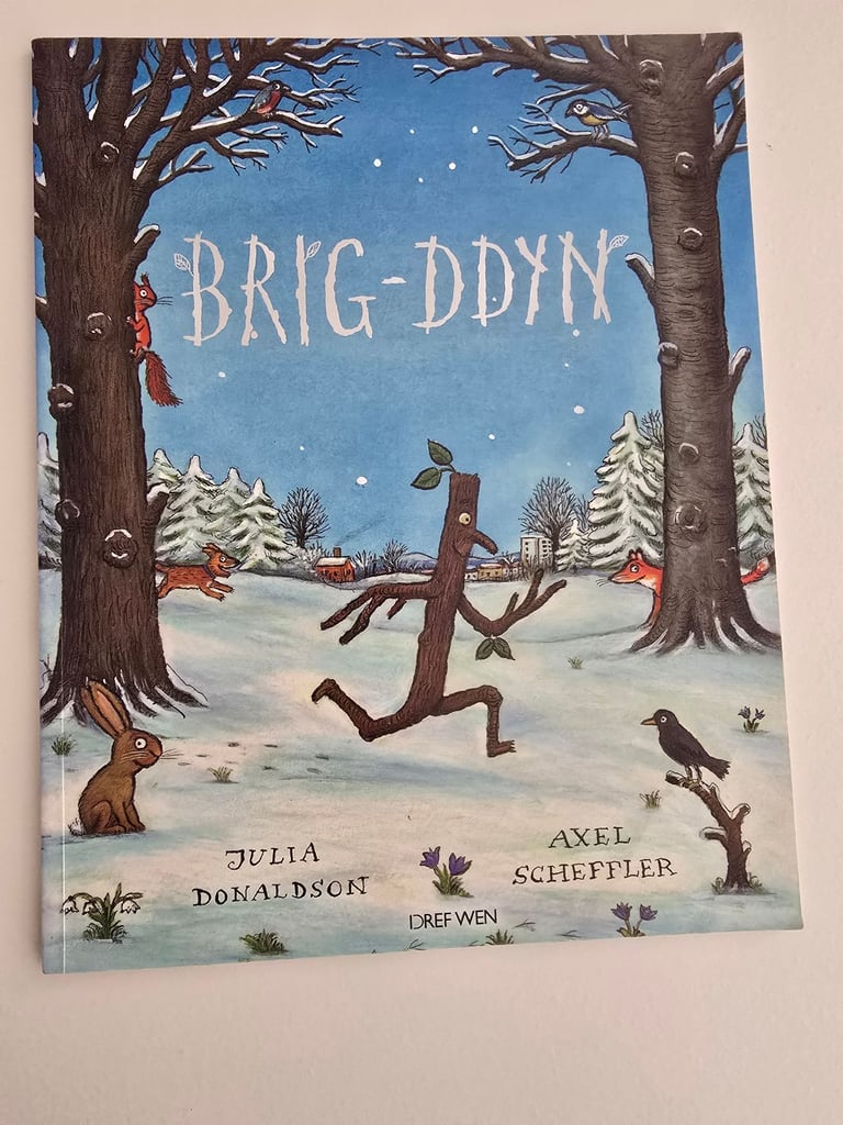 Brig-ddyn / Stick Man – Welsh Children’s Book by Julia Donaldson & Axel Scheffler