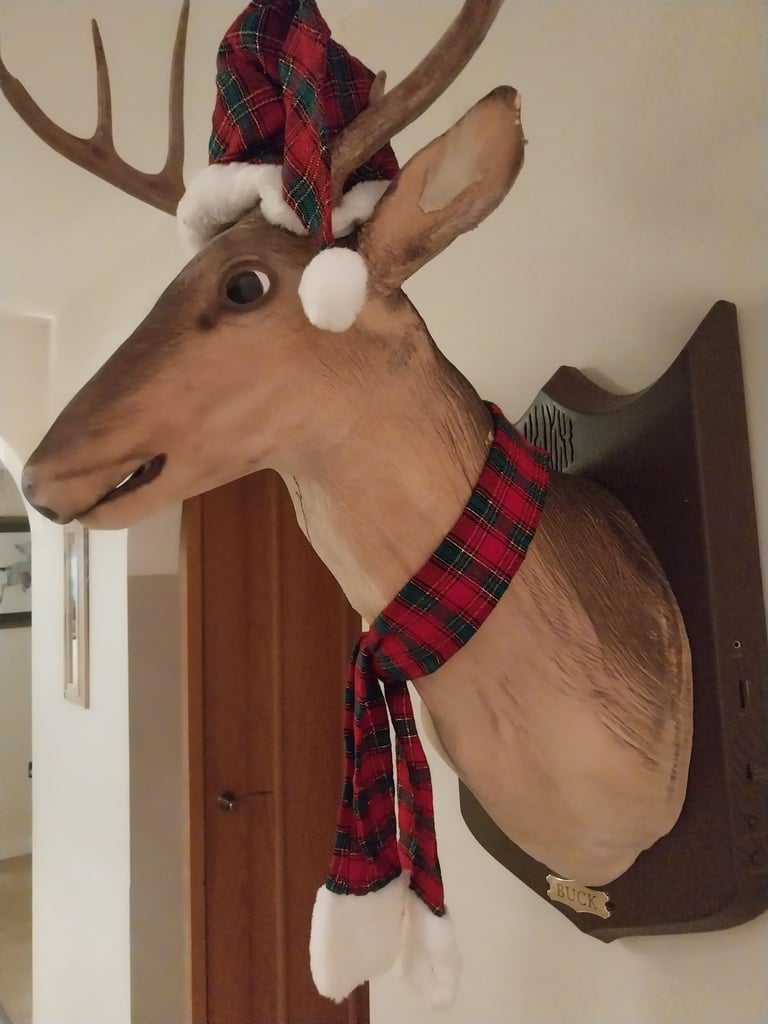 image for Buck the animated trophyhy